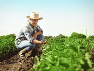 Agriculteur